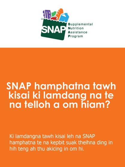 SNAP Error Rate and Household Change - Graphics Suite