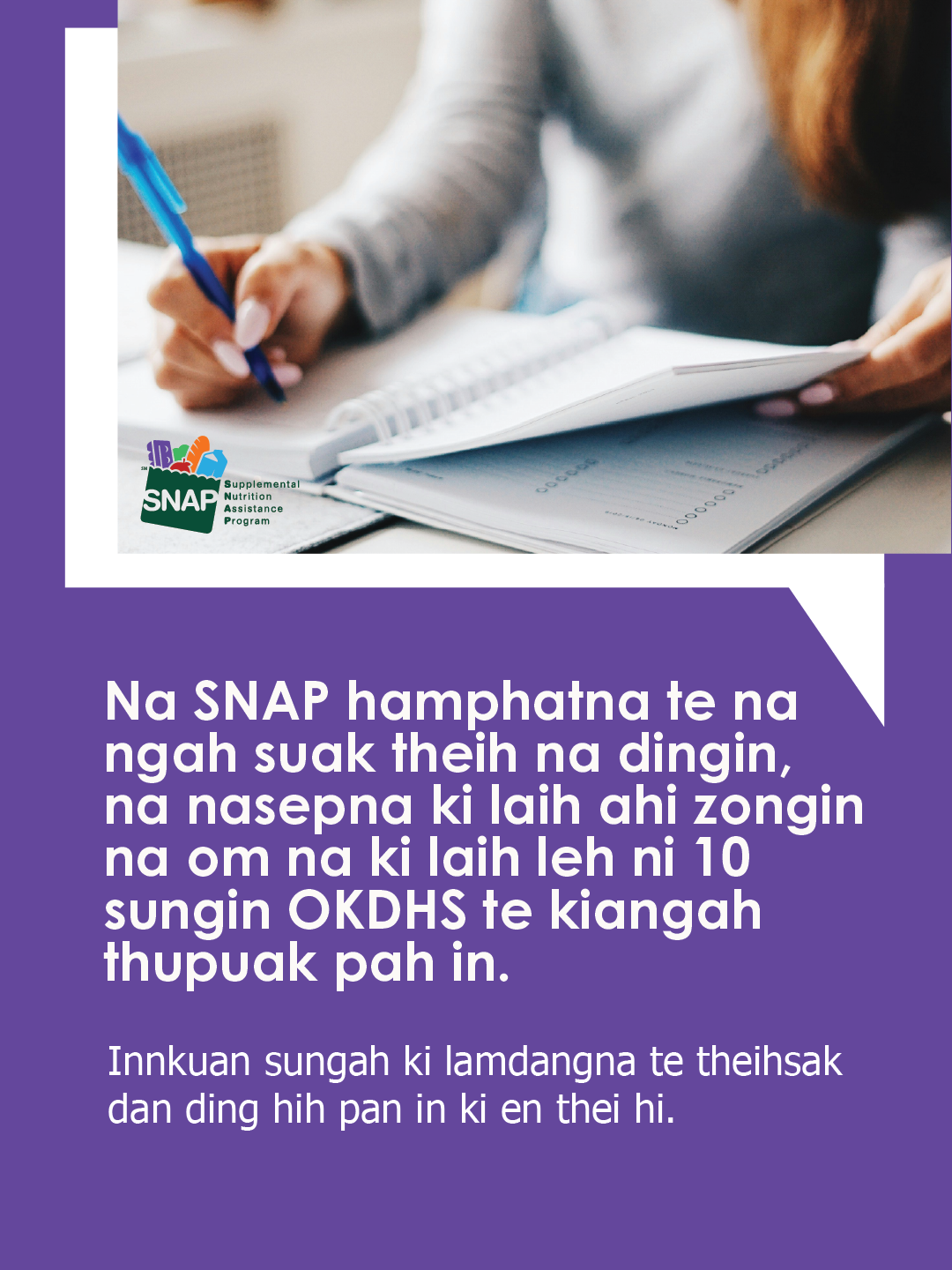 SNAP Error Rate and Household Change - Graphics Suite