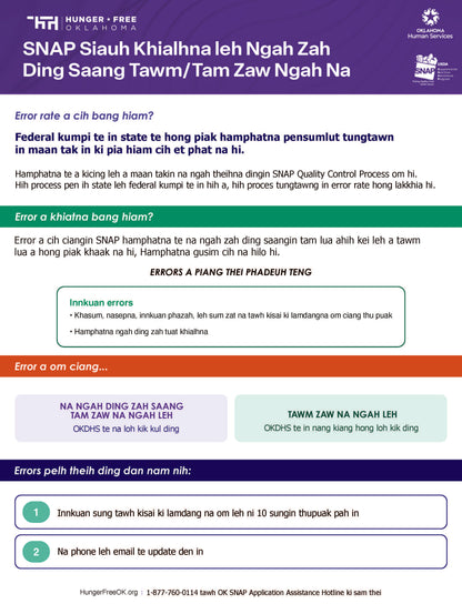 SNAP Error Rate and Household Change Flyer
